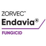 Zorvec™ Endavia® – liderul incontestabil în combaterea manei, acum și în România