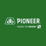 Fermierii campioni la floarea-soarelui aleg hibrizii Pioneer® și în 2022