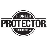 Sclerotinia Protector – o tehnologie unică pentru cultura de rapiță