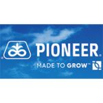 Hibrizii de floarea soarelui Pioneer® – Performanță și Stabilitate demonstrate