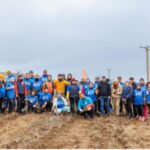 padurea copiilor, silvicultura la grupa mica